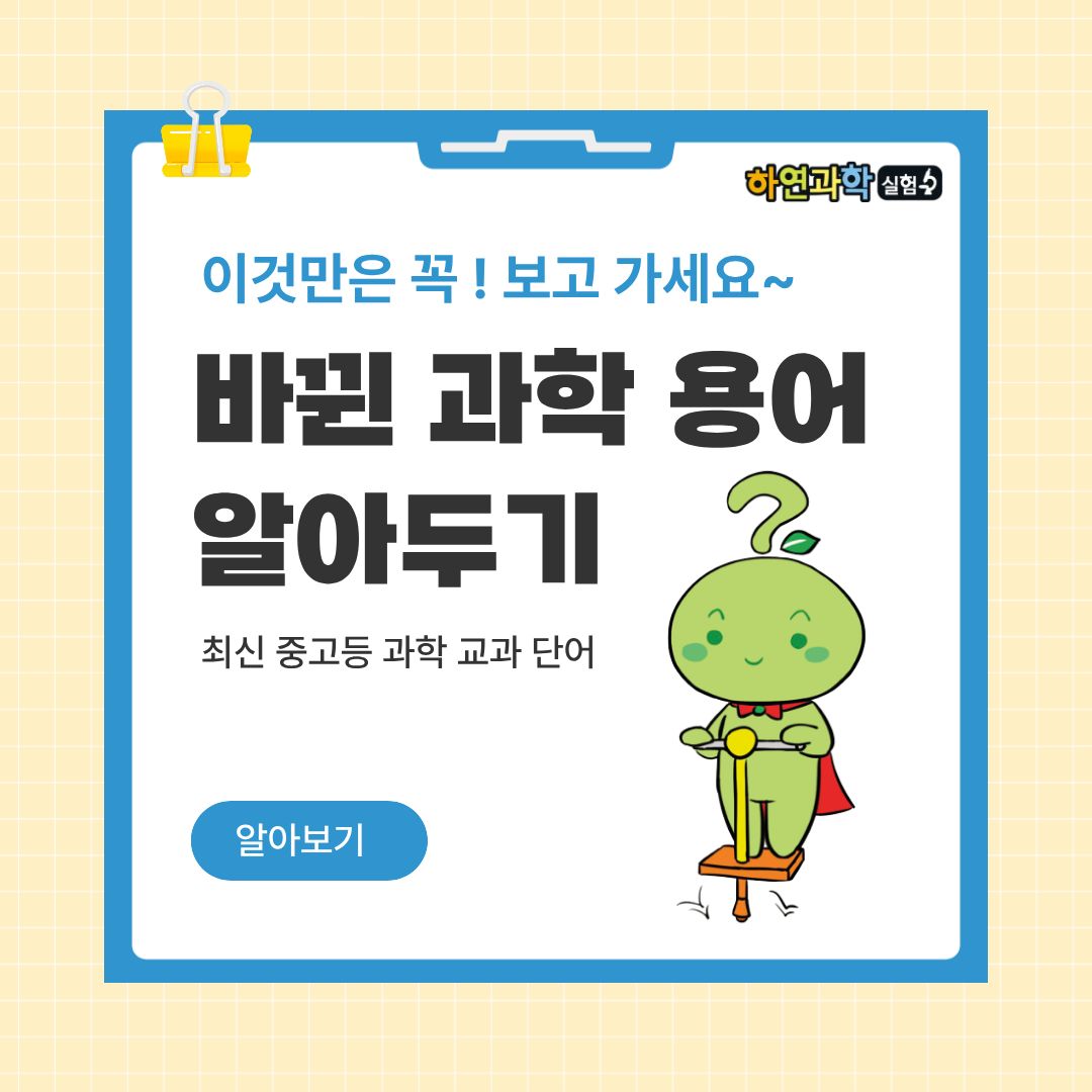 포토갤러리 이미지