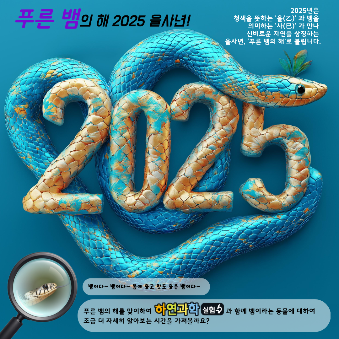 e245462e636e53bd874dfab827f93ea7_1738659882_0935.png